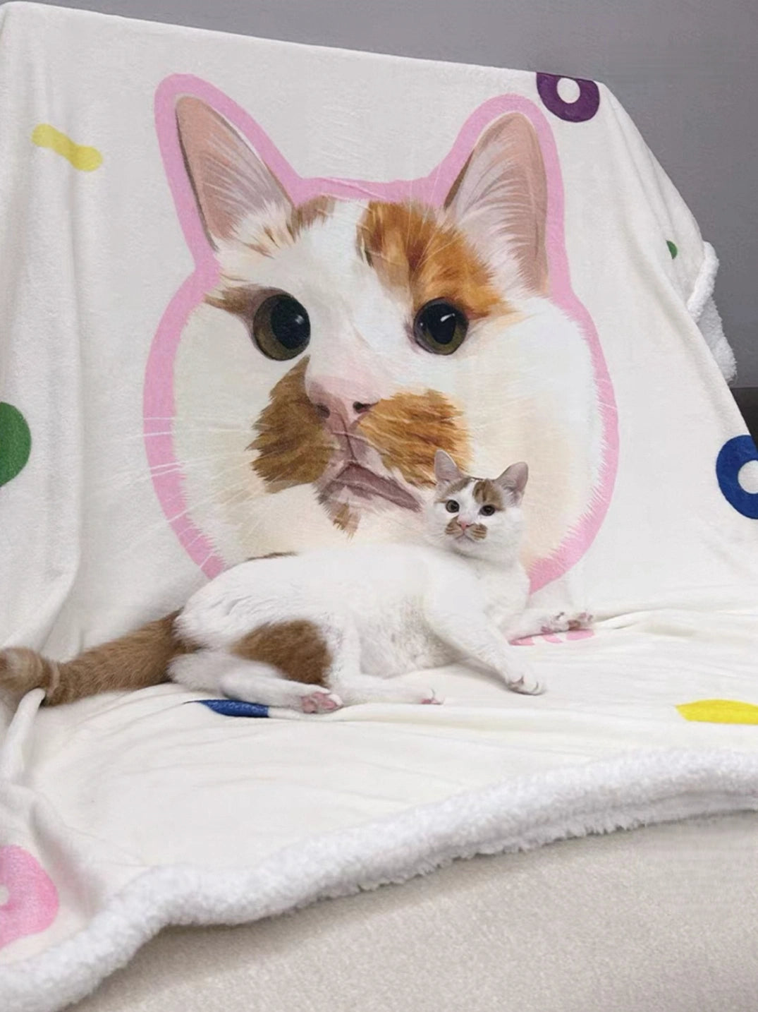 Custom Pet Blanket