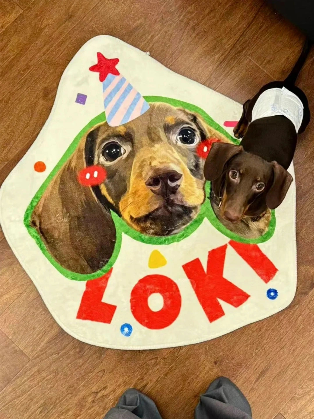 Personalized Pet Photo Art Irregular Shape Rug