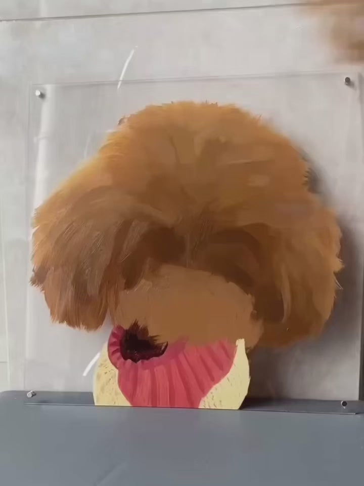 Load video: 