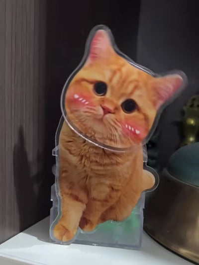 Personalized Pet Photo Bobblehead Stand