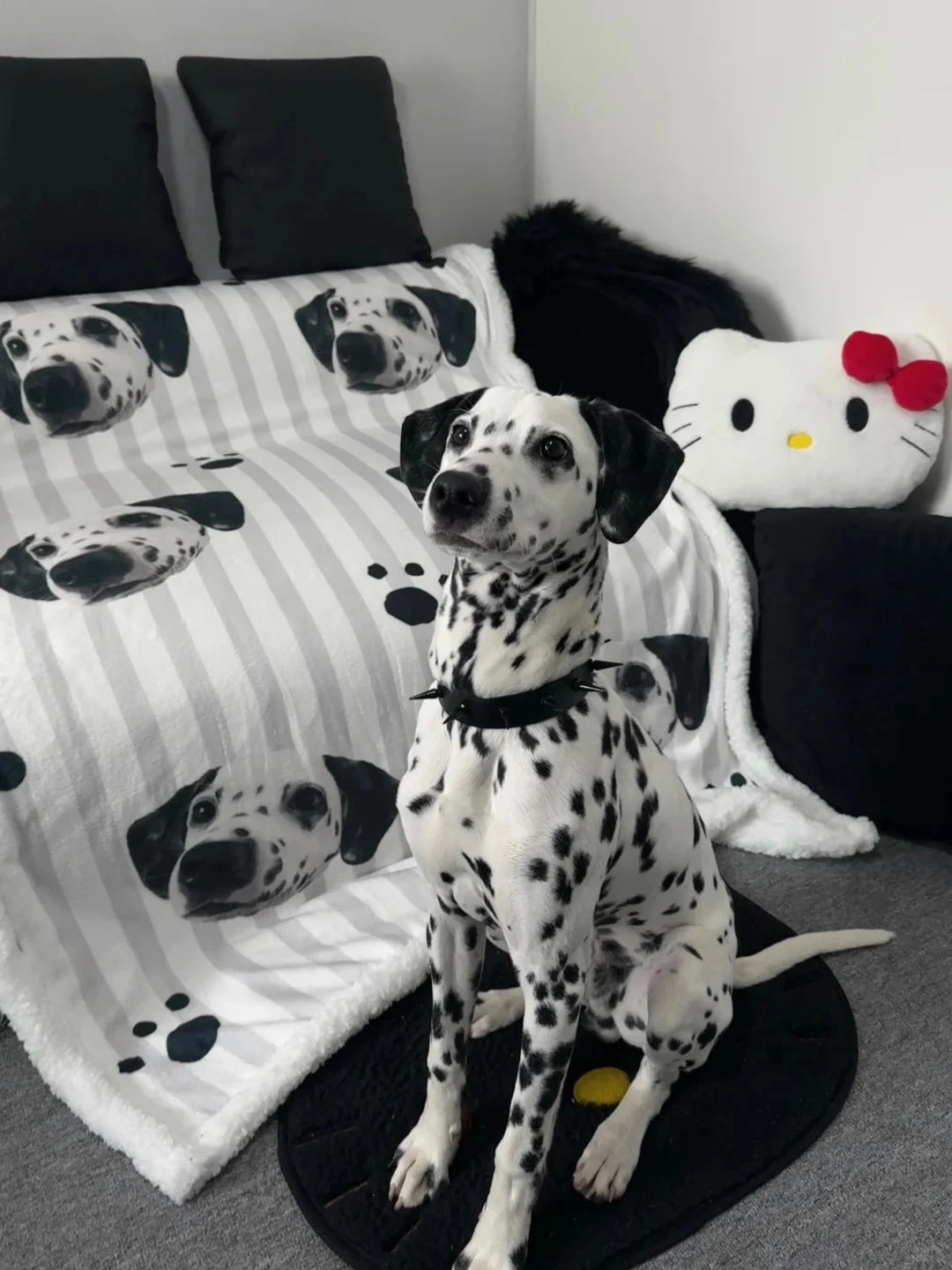 Custom Pet Blanket