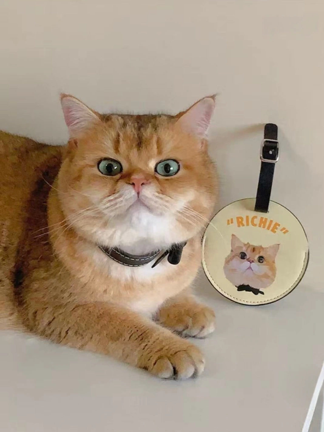 Personalized Pet Photo Art Luggage Tag