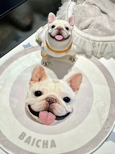 Personalized Pet Photo Art Rug
