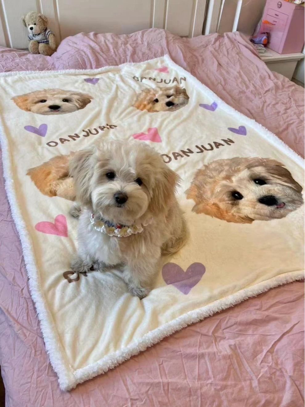 Custom Pet Blanket